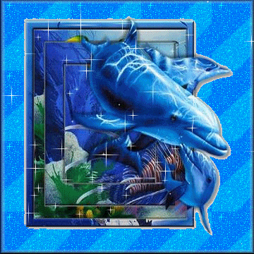 dolphin