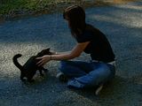 cat.jpg image by JUSTLETMEEFFINGUPLOAD